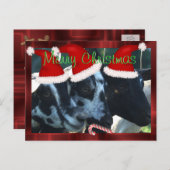 ヤギの子供のクリスマスの郵便はがきは個人化なできます シーズンポストカード (正面/裏面)