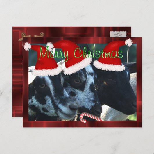 ヤギの子供のクリスマスの郵便はがきは個人化なできます シーズンポストカード (正面/裏面)