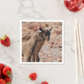 ヤギの子供 スタンダードカクテルナプキン (インサイチュ)