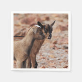 ヤギの子供 スタンダードカクテルナプキン (正面)