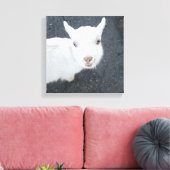 ヤギの子 キャンバスプリント (インサイチュ (リビング))