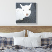 ヤギの子 キャンバスプリント (インサイチュ (寝室))