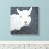 ヤギの子 キャンバスプリント (インサイチュ (ウッドフロア))