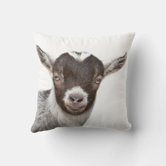ヤギの家畜のかわいい子供部屋の写真 クッション (裏面)