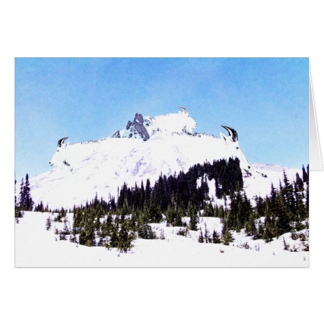 ヤギの山 (正面横)