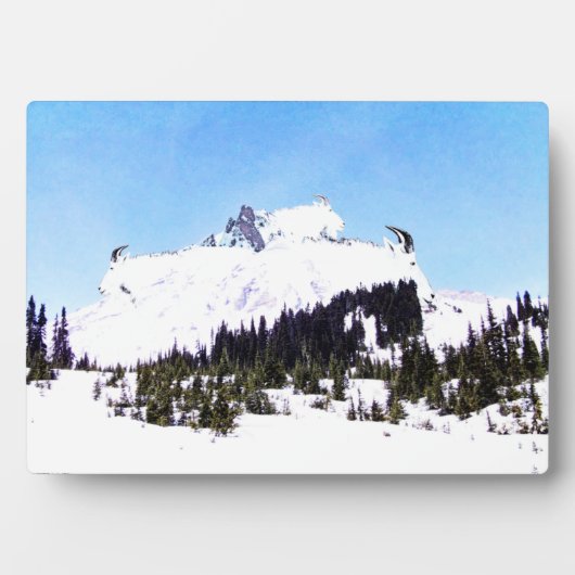 ヤギの山 フォトプラーク (正面)