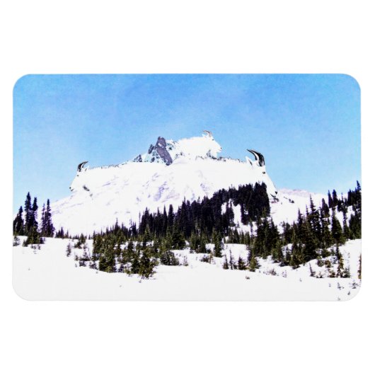 ヤギの山 マグネット (横)