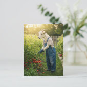 ヤギの庭師 ポストカード (スタンド正面)