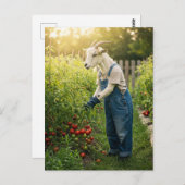 ヤギの庭師 ポストカード (正面/裏面)