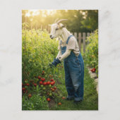 ヤギの庭師 ポストカード (正面)