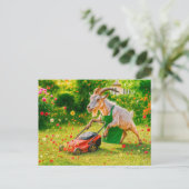 ヤギの庭師、花園を破壊する シーズンポストカード (スタンド正面)