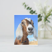 ヤギの星1.jpg ポストカード (スタンド正面)