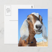 ヤギの星1.jpg ポストカード (正面/裏面)