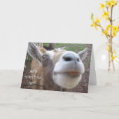 ヤギの父の日カード カード (黄色い花)