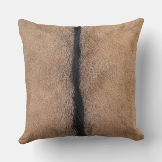 ヤギの皮 クッション (裏面)