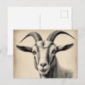 ヤギの線のエッチ素晴らしング ポストカード (正面/裏面)