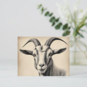 ヤギの線のエッチ素晴らしング ポストカード (スタンド正面)