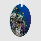 ヤギの群のまわりに生サンゴ オーナメント (正面)