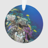 ヤギの群のまわりに生サンゴ オーナメント (正面)