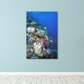 ヤギの群のまわりに生サンゴ キャンバスプリント (インサイチュ (ウッドフロア))