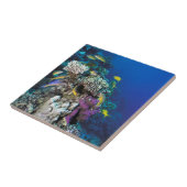 ヤギの群のまわりに生サンゴ タイル (側面)