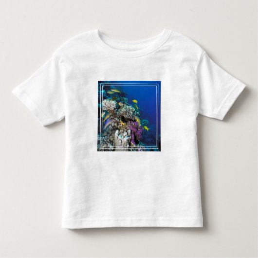 ヤギの群のまわりに生サンゴ トドラーTシャツ (正面)
