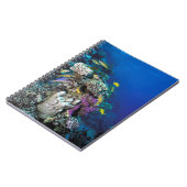 ヤギの群のまわりに生サンゴ ノートブック (左側)