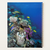 ヤギの群のまわりに生サンゴ プランナー手帳 (裏面)