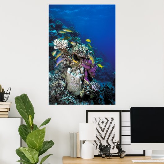 ヤギの群のまわりに生サンゴ ポスター (ホームオフィス)