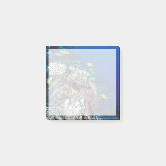 ヤギの群のまわりに生サンゴ ポストイット (正面)