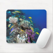 ヤギの群のまわりに生サンゴ マウスパッド (マウス)