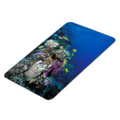 ヤギの群のまわりに生サンゴ マグネット (左側)