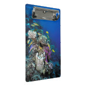 ヤギの群のまわりに生サンゴ ミニクリップボード (アングル)