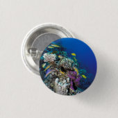 ヤギの群のまわりに生サンゴ 缶バッジ (正面&裏面)
