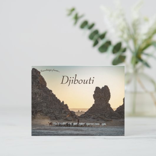 ヤギの群れ ポストカード (スタンド正面)