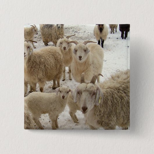 ヤギの群 缶バッジ (正面)