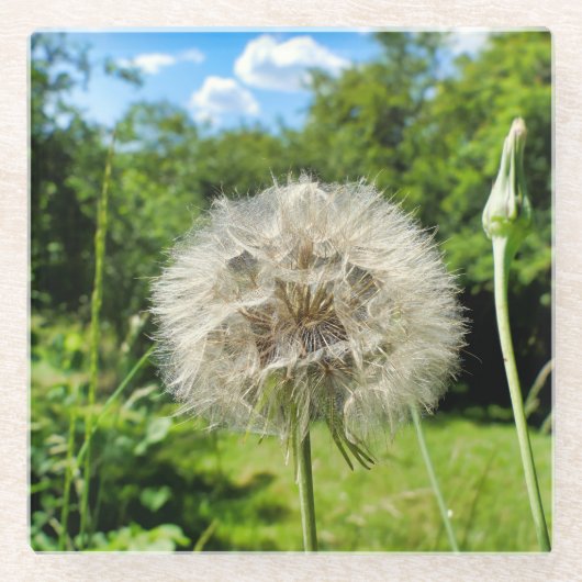 ヤギの花 ガラスコースター (正面)