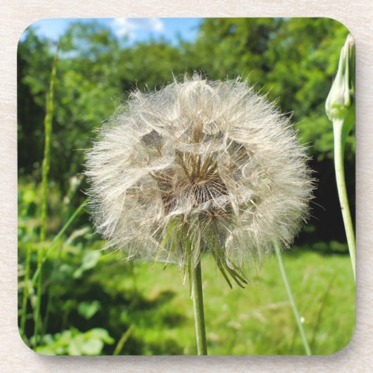 ヤギの花 コースター (正面)