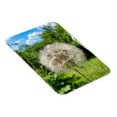 ヤギの花 マグネット (右側)