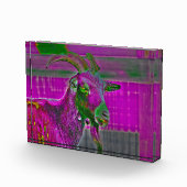 ヤギの芸術 フォトブロック (右)
