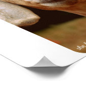 ヤギの芸術 ポスター (角)