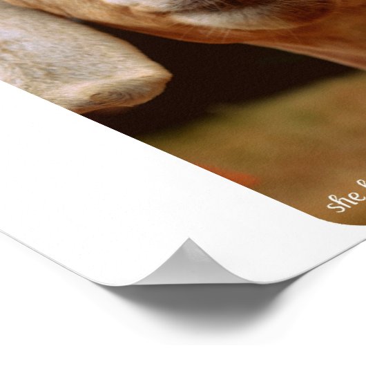 ヤギの芸術 ポスター (角)