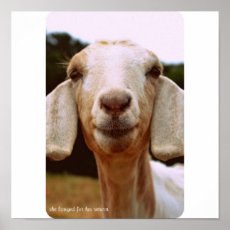 ヤギの芸術 ポスター