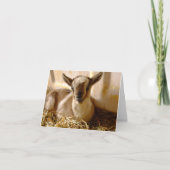 ヤギの赤ちゃん 二つ折りグリーティングカード カード (正面)