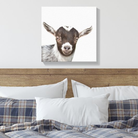 ヤギの農場の動物のピーカブー写真 キャンバスプリント (インサイチュ (寝室))
