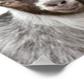 ヤギの農場の動物の写真peekabooキッズルーム ポスター (角)