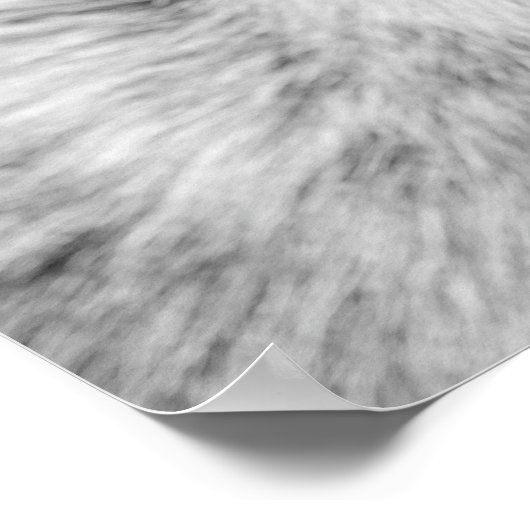 ヤギの農場の動物の写真peekaboo黒と白 ポスター (角)