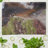 ヤギの近い上り キッチンタオル (折り畳み)