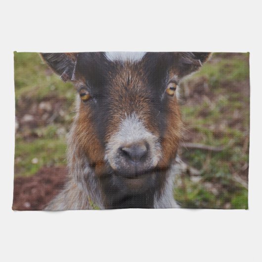 ヤギの近い上り キッチンタオル (横)