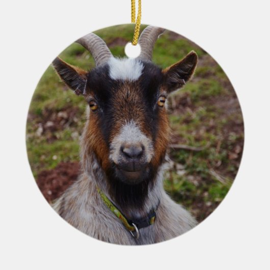 ヤギの近い上り セラミックオーナメント (正面)